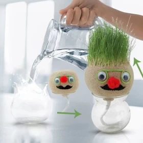 Growing Grass Head Doll with Pot – Fun Educational Toy