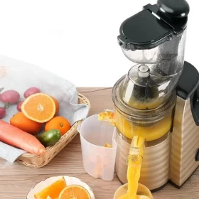 RAF R.2838 Slow Juicer – 150W