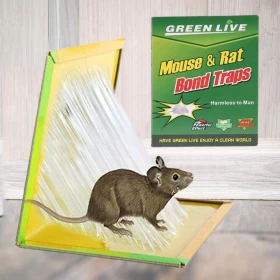 Mouse & Rat Bond Trap Reusable Rodent Glue Trap