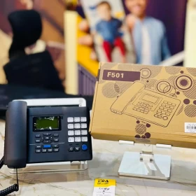 F501 GSM 2-SIM Table Phone with Illuminated Keypad