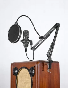 Microphone Bundle with Live Sound Card For Studio Recording & Broadcasting